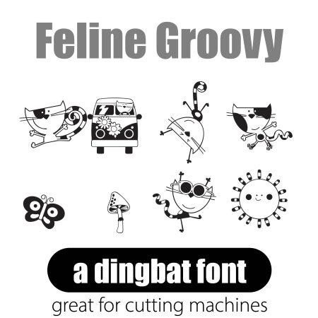 DB Feline - Groovy