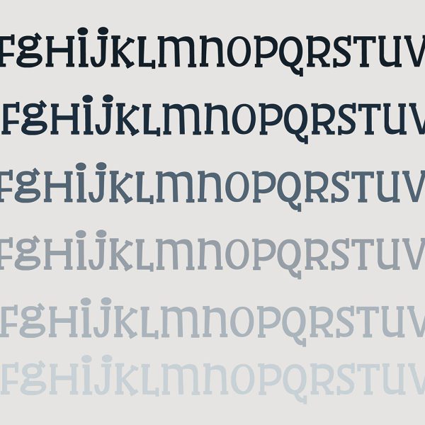 PN Blank Space - Image 2
