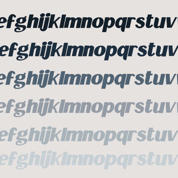 PN Longtime Italic - Image 2