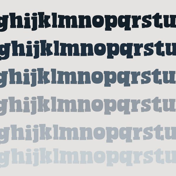 PN Modern Slab Serif - Image 2