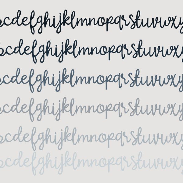 PN Sunbeam - Image 2