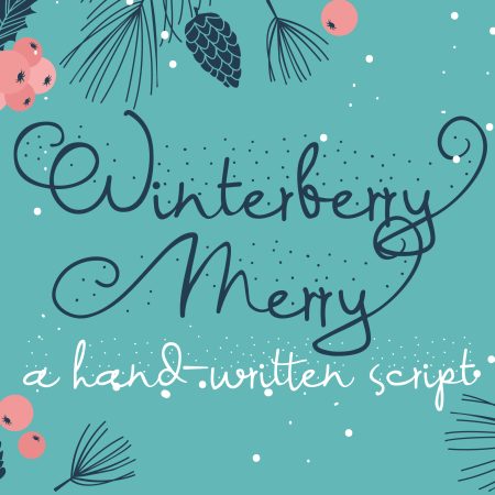 PN Winterberry Berry