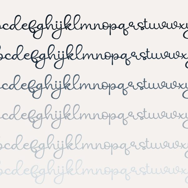 ZP Attribute - Image 2