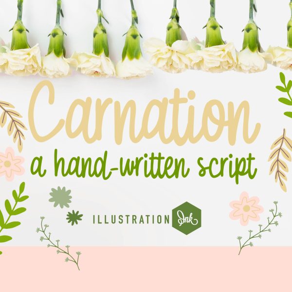 ZP Carnation