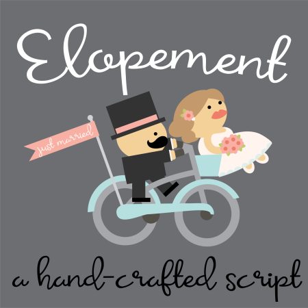 ZP Elopement