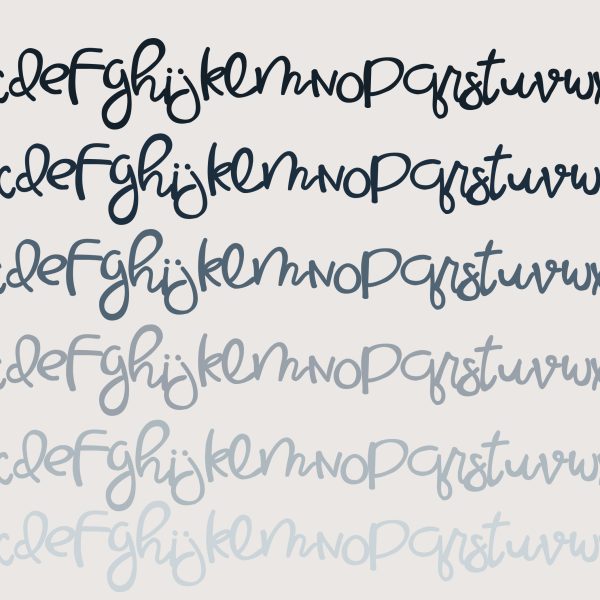 ZP Flitches - Image 2