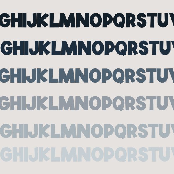 ZP Wild Sans - Image 2
