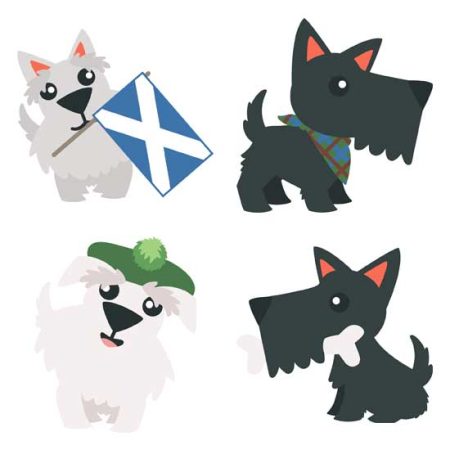 A Wee Bit Scottish Terrier