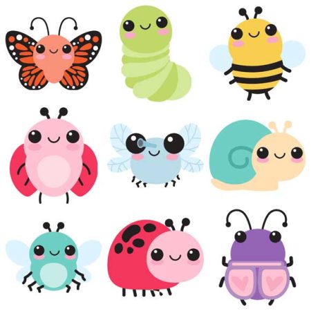 Baby Bug