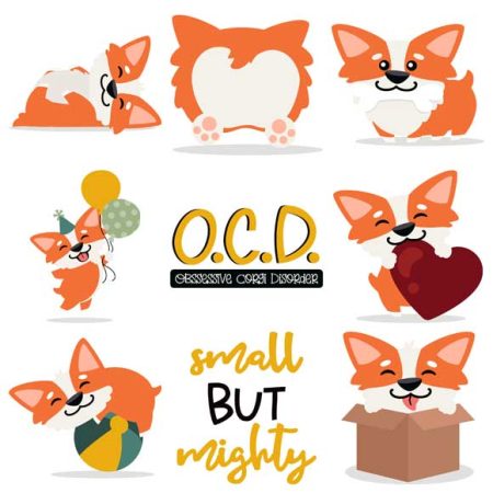 Cutie Corgi