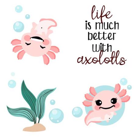 Happy Axolotl