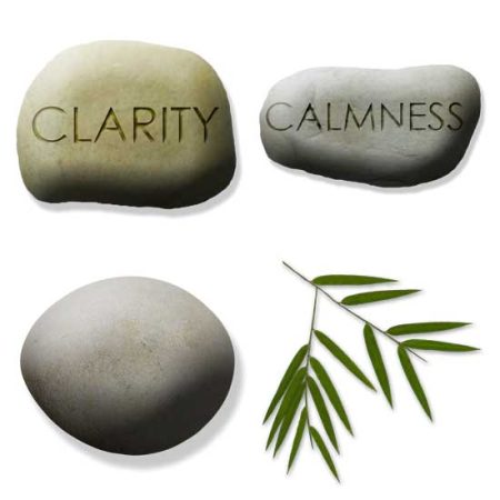 Jdt Focus Stone