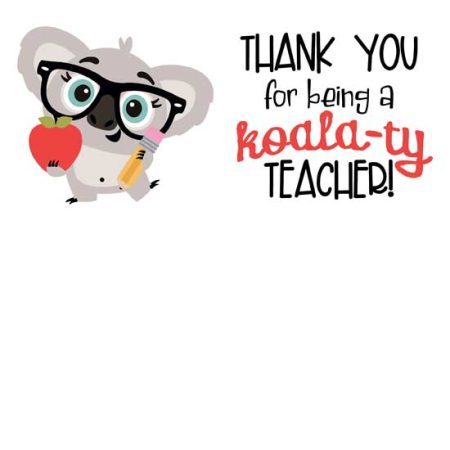 Kutie Koala Teacher