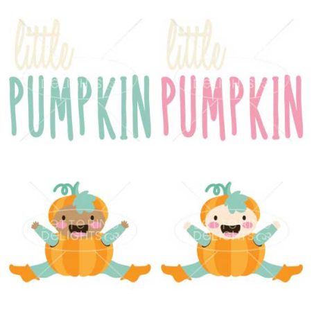 Little Pumpkin Baby
