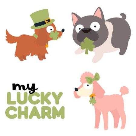 Lucky Dog