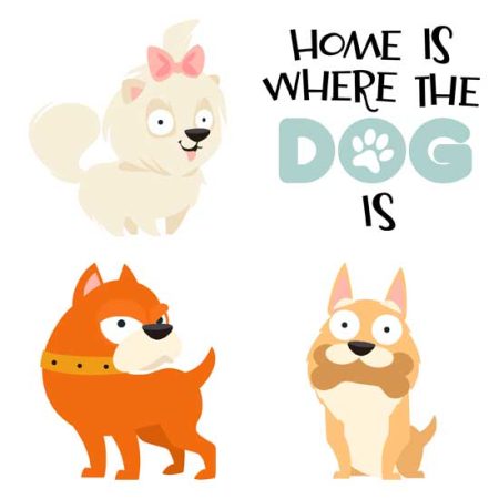 Lucky Dog Life
