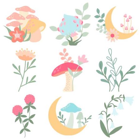 Mushroom Magic Blooms