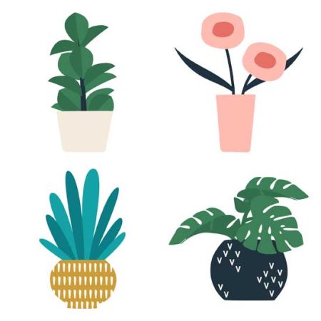 Panorama Plants