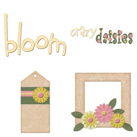 Pink Daisies
