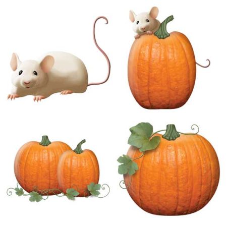 Pumpkin