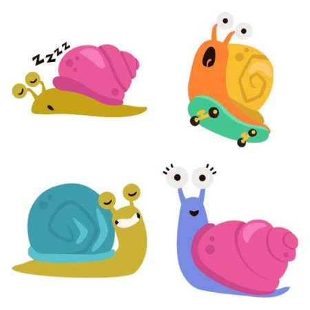 Snailed It