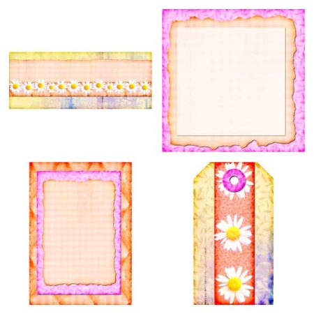 Spring Box Daisies