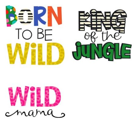 Wild Safari - Phrases